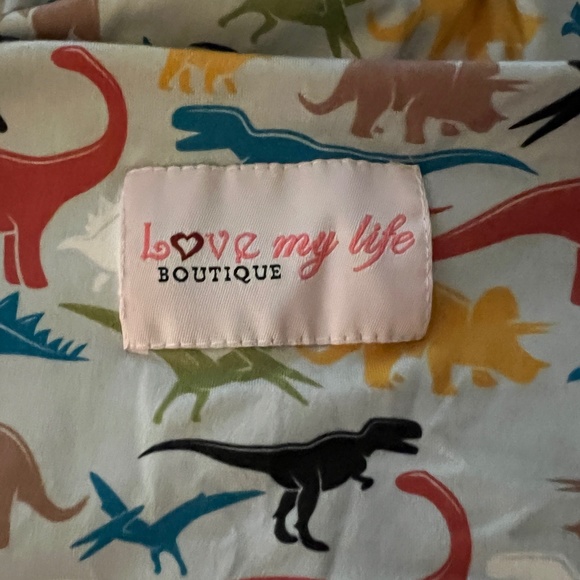 The One Cover infant car seat cover - Dino Roars - Picture 3 of 5